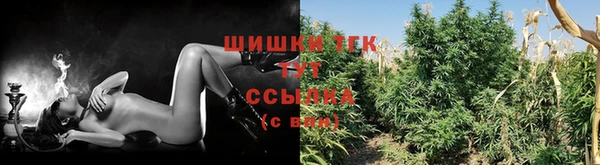 PSILOCYBIN Алзамай