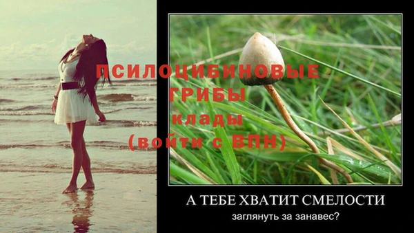 МДПВ Абинск